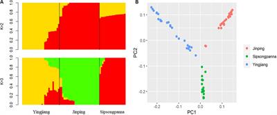 Genetic Diversity and Selection Signatures Within Diannan Small-Ear Pigs Revealed by Next-Generation Sequencing